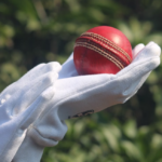 Beyond the Boundary: How Data Analytics & Power-Hitting Transformed T20 Cricket Strategy