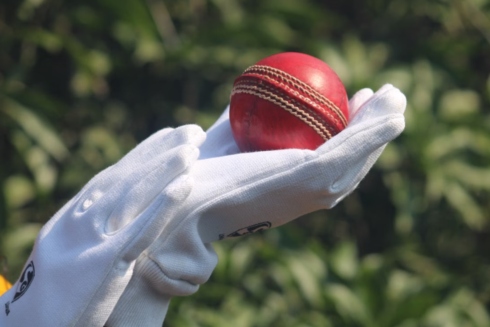 Beyond the Boundary: How Data Analytics & Power-Hitting Transformed T20 Cricket Strategy