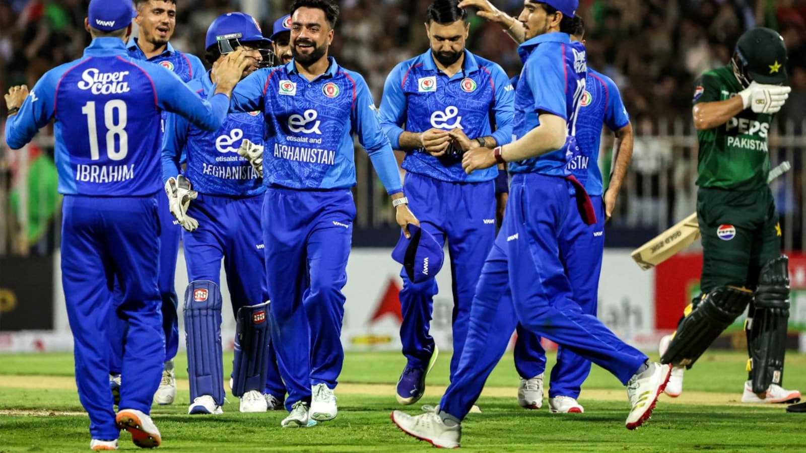 Qatar National Cricket Team Vs Afghanistan National Cricket Team Match Scorecard